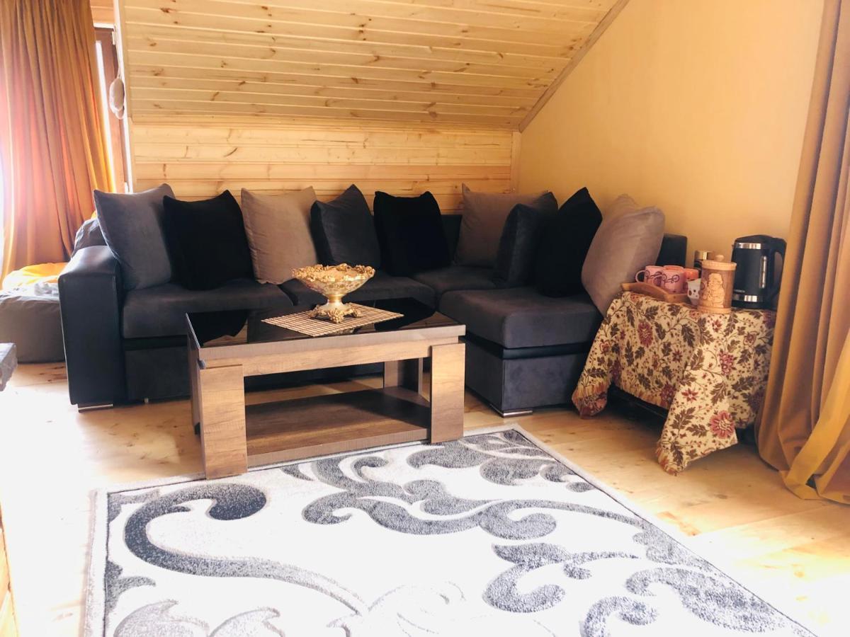 Hotel Nestt Kazbegi Kültér fotó