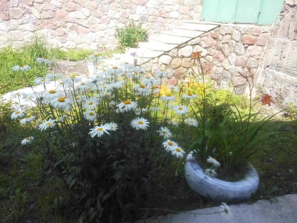 Hotel Nestt Kazbegi Kültér fotó