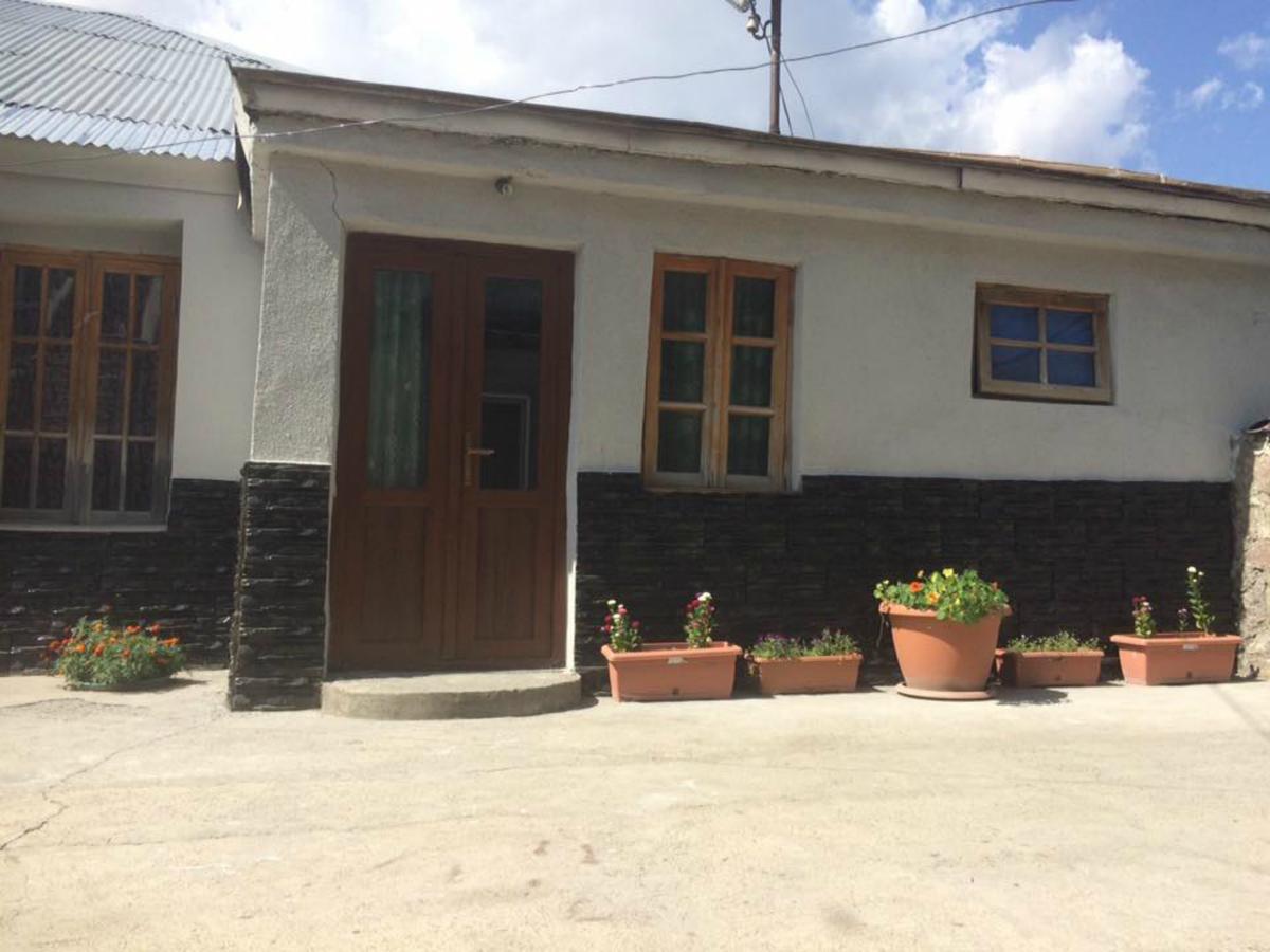 Hotel Nestt Kazbegi Kültér fotó